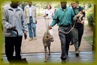 photo courtesy Teri Gaff